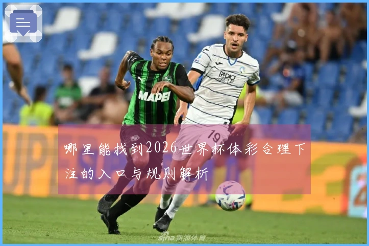 哪里能找到2026世界杯体彩合理下注的入口与规则解析