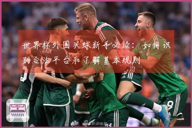 世界杯外围买球新手必读：如何识别合法平台和了解基本规则