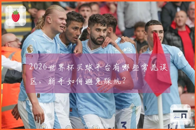 2026世界杯买球平台有哪些常见误区，新手如何避免踩坑？