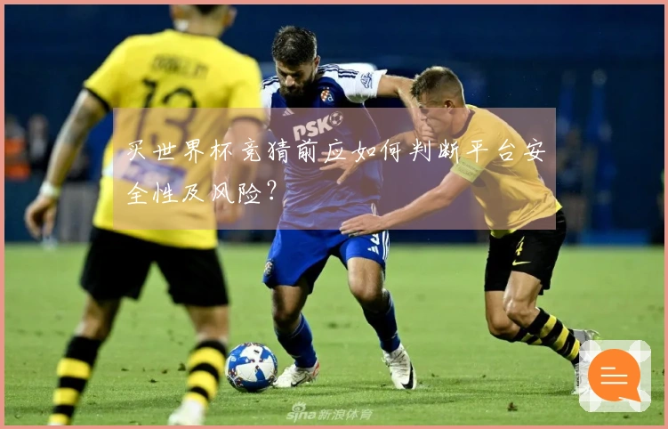 买世界杯竞猜前应如何判断平台安全性及风险？