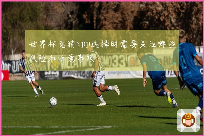 世界杯竞猜app选择时需要关注哪些风险和注意事项