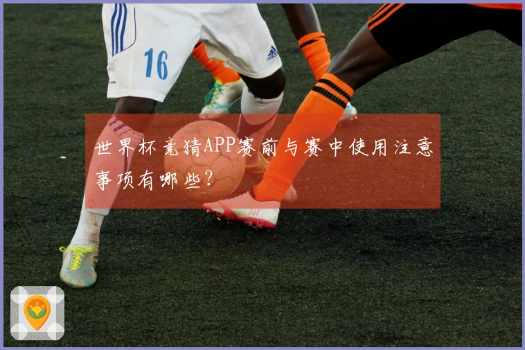 世界杯竞猜APP赛前与赛中使用注意事项有哪些？