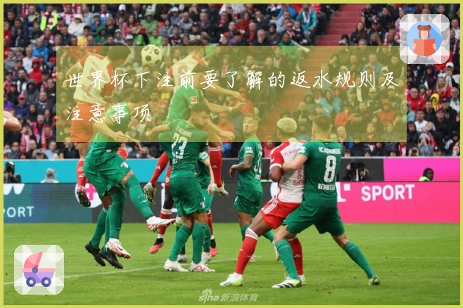 世界杯下注前要了解的返水规则及注意事项
