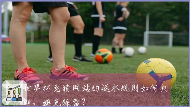 世界杯竞猜网站的返水规则如何判断，避免踩雷？