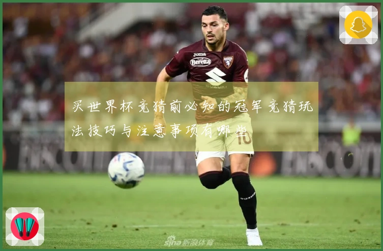 买世界杯竞猜前必知的冠军竞猜玩法技巧与注意事项有哪些