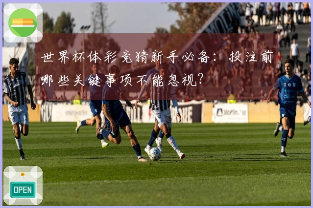 世界杯体彩竞猜新手必备：投注前哪些关键事项不能忽视？