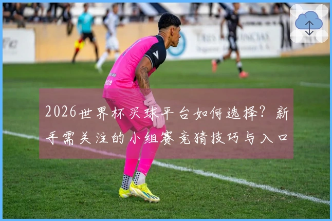 2026世界杯买球平台如何选择？新手需关注的小组赛竞猜技巧与入口分析