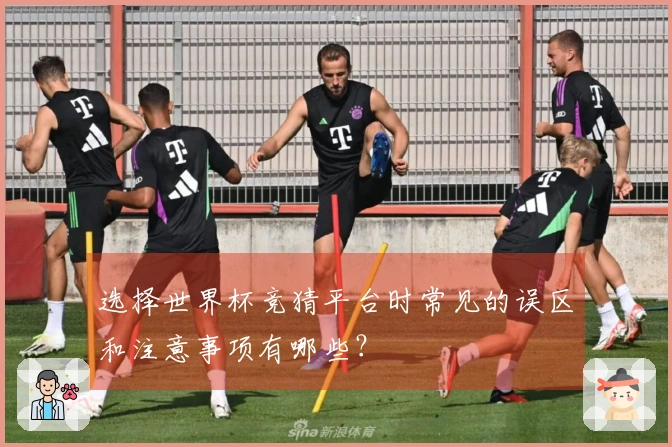 选择世界杯竞猜平台时常见的误区和注意事项有哪些？