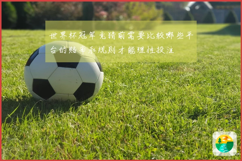 世界杯冠军竞猜前需要比较哪些平台的赔率和规则才能理性投注