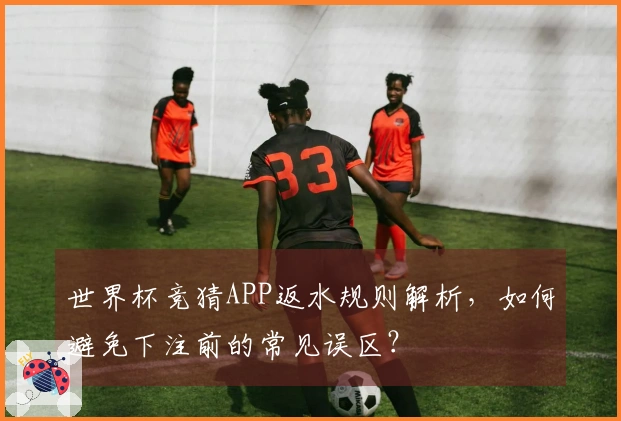 世界杯竞猜APP返水规则解析，如何避免下注前的常见误区？