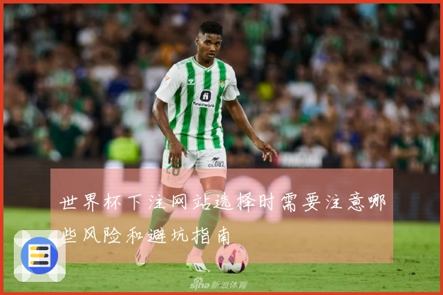 世界杯下注网站选择时需要注意哪些风险和避坑指南
