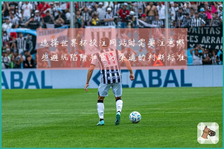 选择世界杯投注网站时需要注意哪些避坑陷阱和官方渠道的判断标准