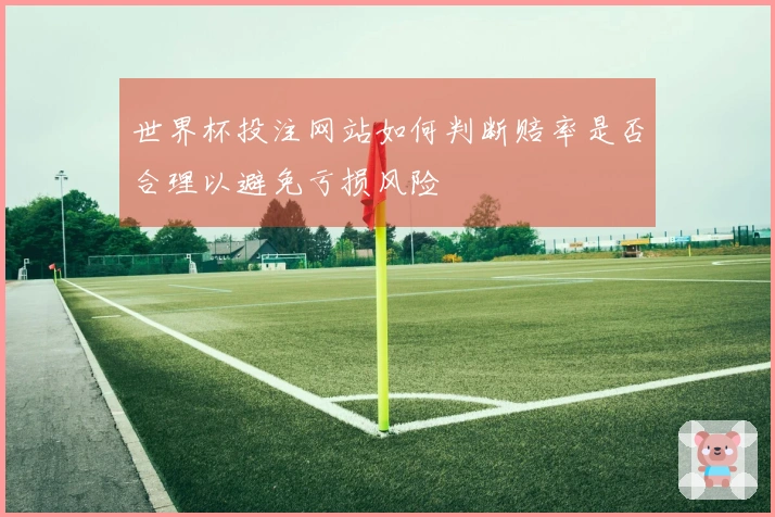 世界杯投注网站如何判断赔率是否合理以避免亏损风险
