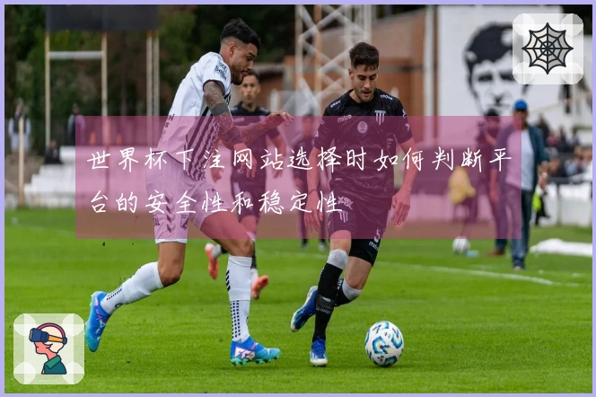 世界杯下注网站选择时如何判断平台的安全性和稳定性