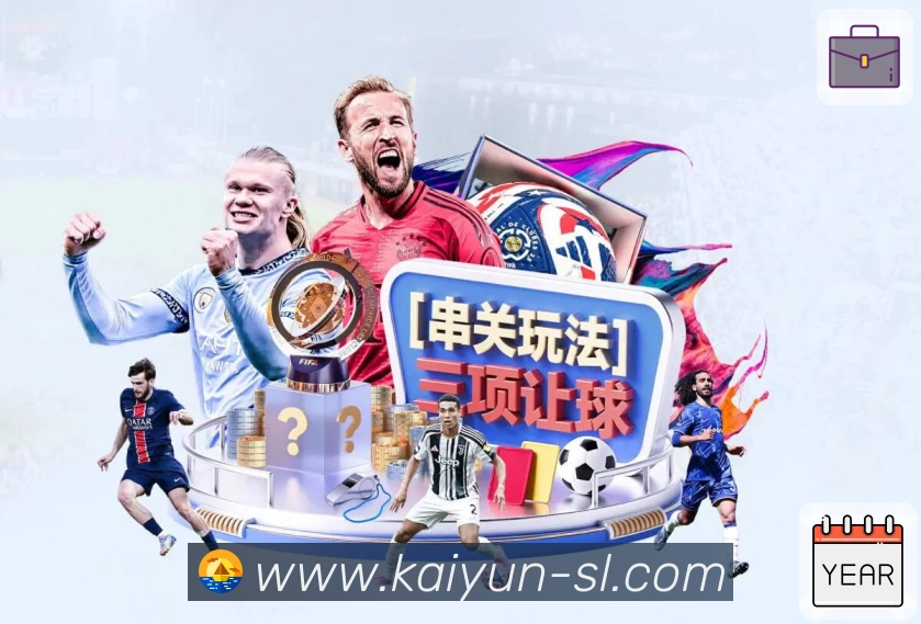安全登录器 - 加密访问